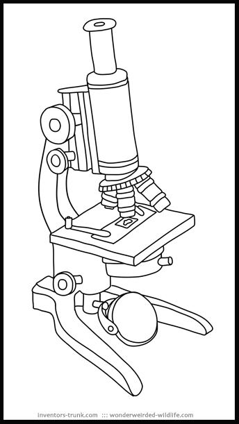 Electron microscope clipart 20 free Cliparts | Download images on ...