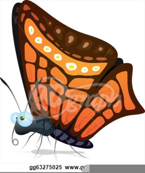 Elegant Butterfly Clipart.