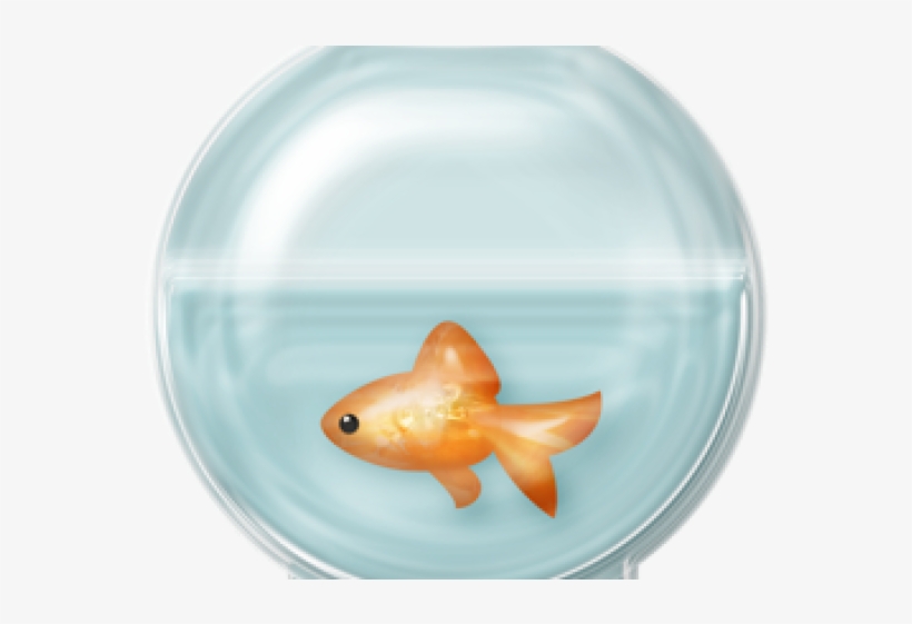 Fish Bowl Clipart Empty Fish Tank.