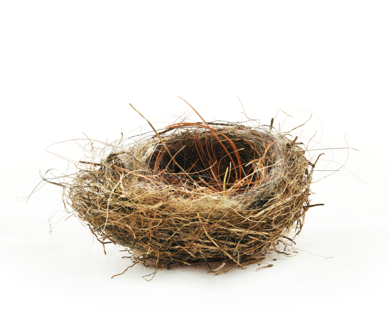 Empty Nest PNG Transparent Empty Nest.PNG Images..