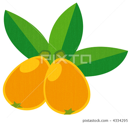 loquat, eriobotrya japonica, foods.