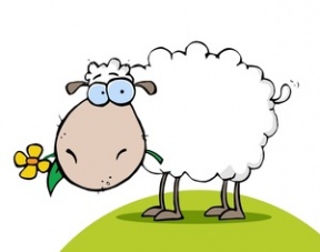 Ewe Clipart.