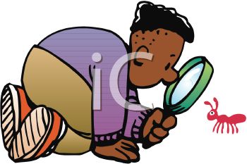 Examine clipart.