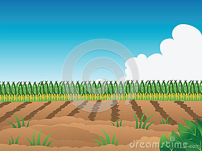 Crop Field Clip Art.