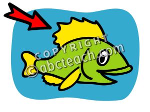 Fish Fin Clip Art.