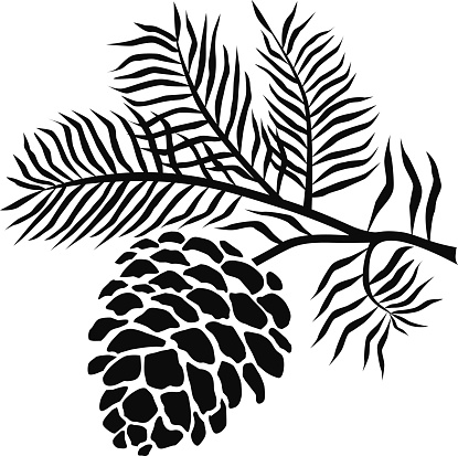 Pine cone clip art black and white.