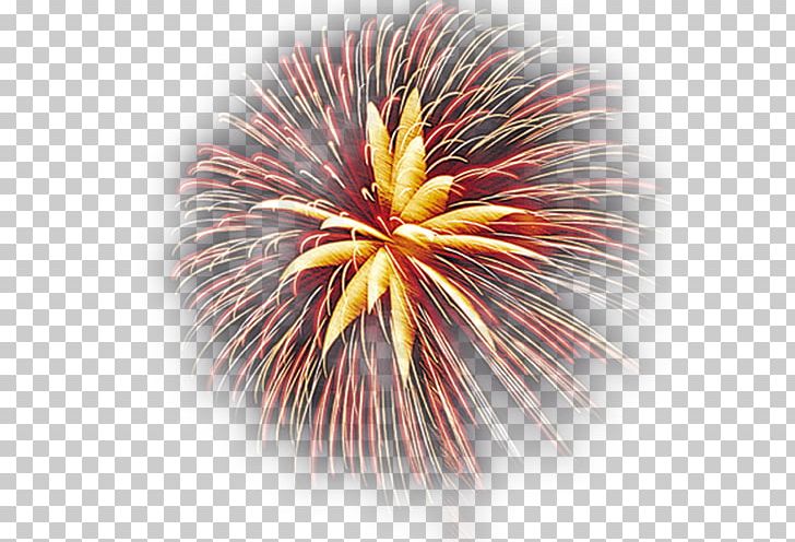 Fireworks PNG, Clipart, Cartoon Fireworks, Chinese, Chinese New Year.