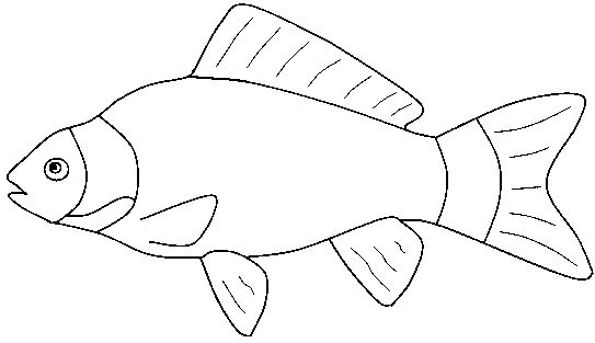 Fish black and white fish outline clipart black and white 2.