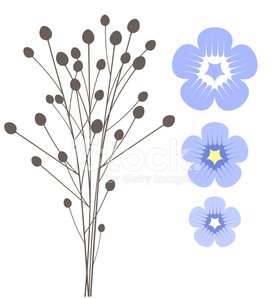 Flax Clipart Image.