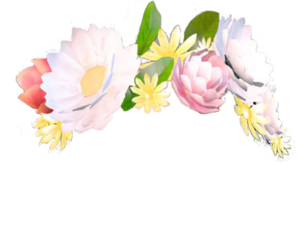 flowers crown snapchat filter snapchatfilter cute freet.