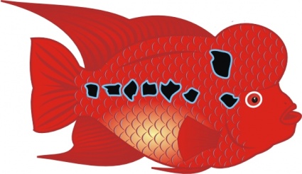 Flower Horn Fish, Clipart.