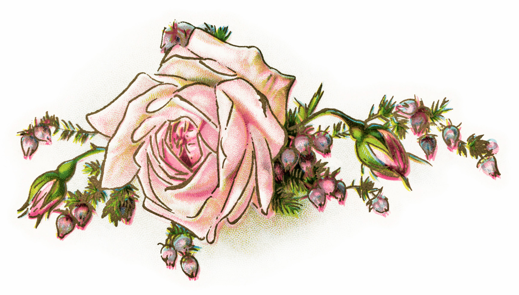 Vintage Flower Clipart & Vintage Flower Clip Art Images.