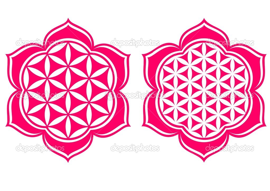 Flower of life Stock Vectors, Royalty Free Flower of life.