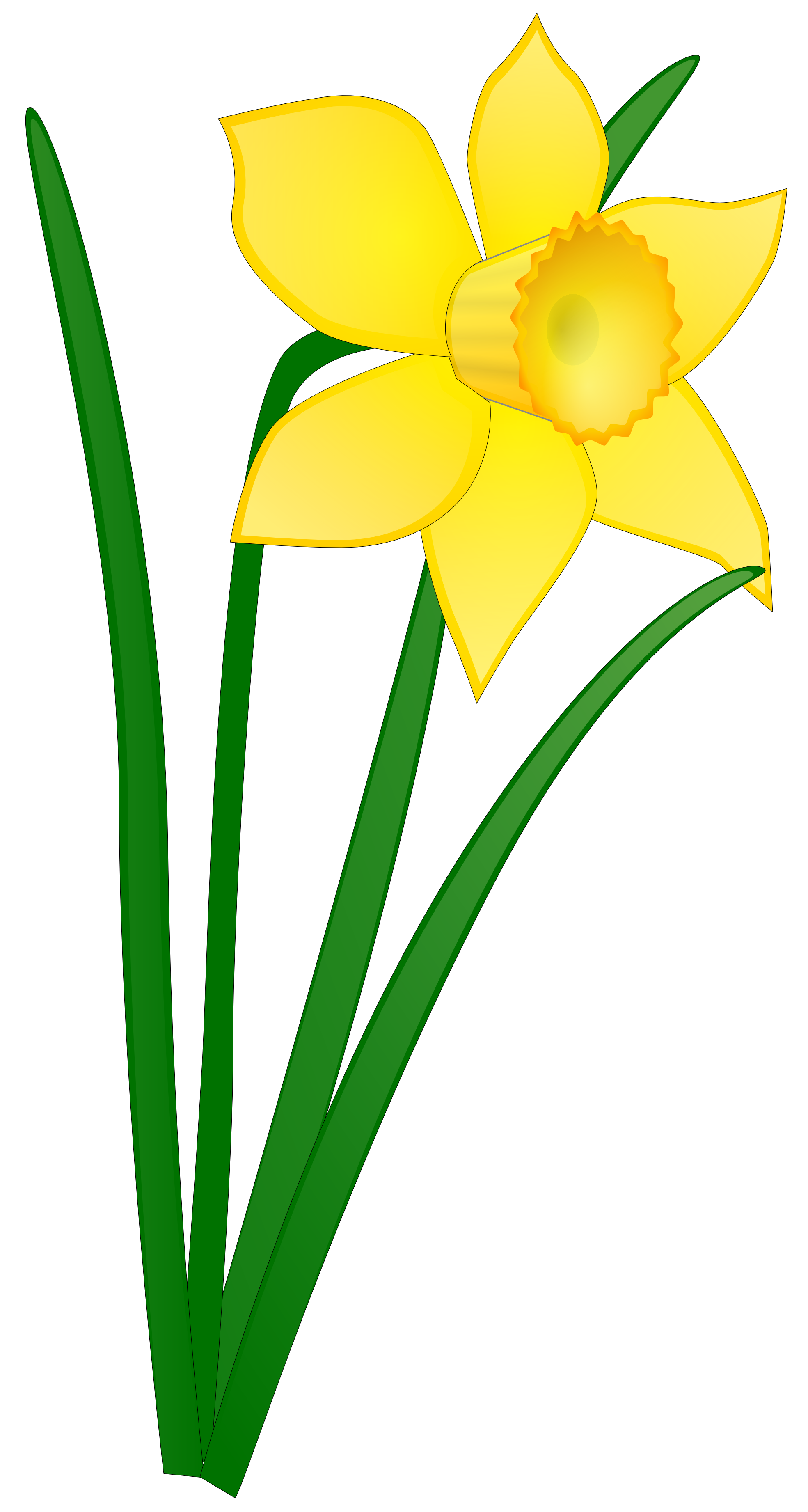 flowers without background.