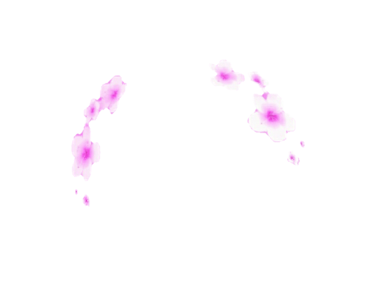 Snapchat Filter Flower Tears transparent PNG.