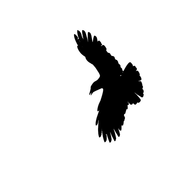 Free Raven Silhouette Cliparts, Download Free Clip Art, Free.