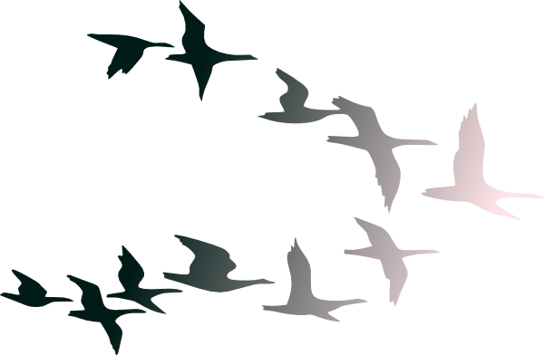 Bird flight Bird flight Clip art.