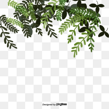 folhagem png 10 free Cliparts | Download images on Clipground 2024