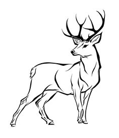 Buck clipart drawing, Buck drawing Transparent FREE for.