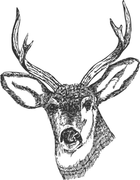 Deer Head clip art Free vector in Open office drawing svg ( .svg.