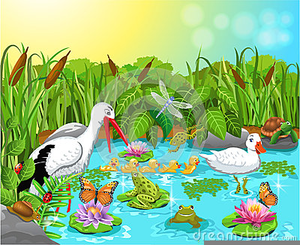 Free Garden Clipart Pond.