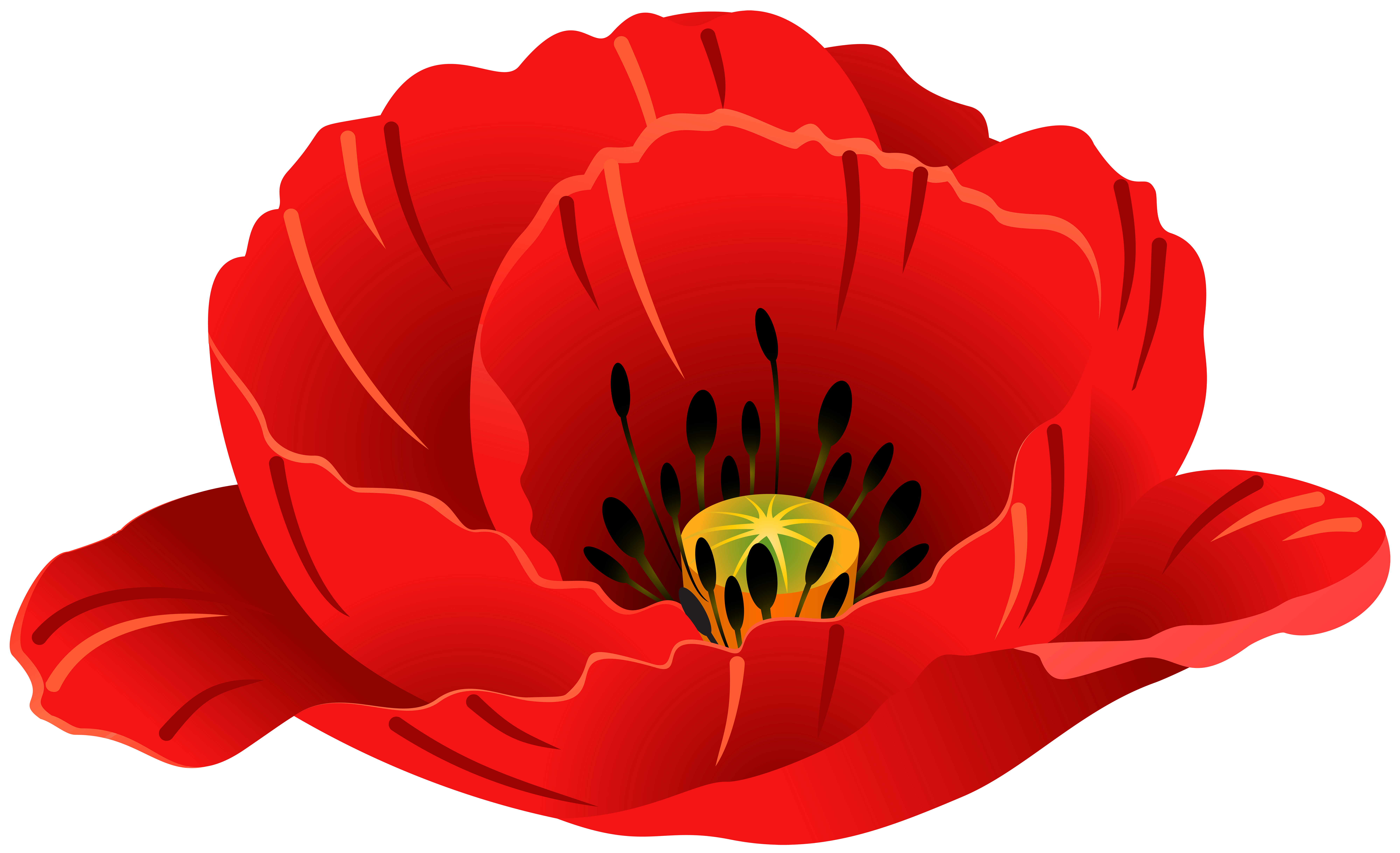 Poppy Transparent PNG Clip Art Image.