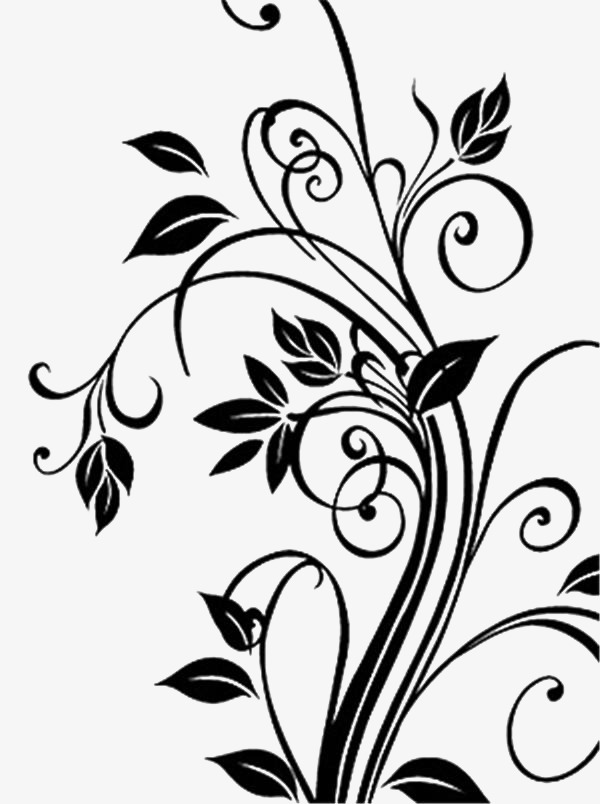 Free Vine Black And White Png & Free Vine Black And White.png.