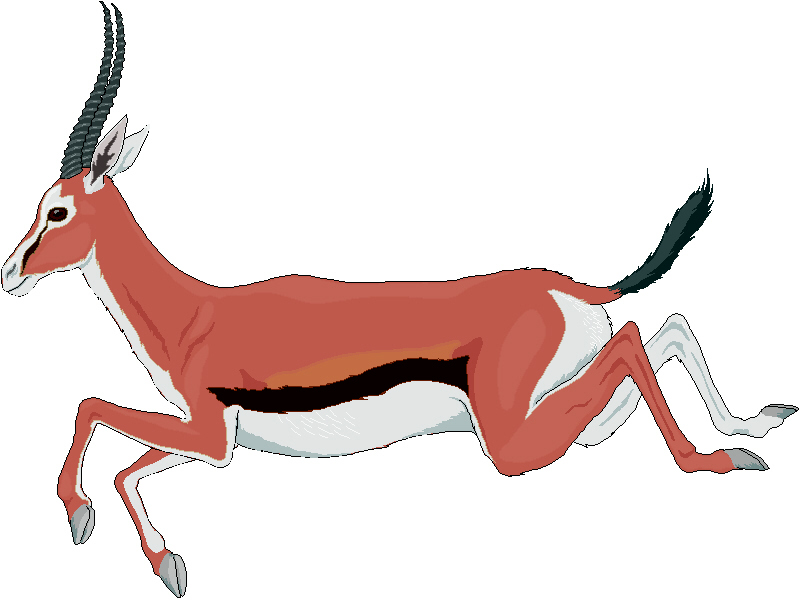 Gazelle Clipart.