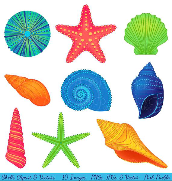 Free seashell clipart 2 » Clipart Station.