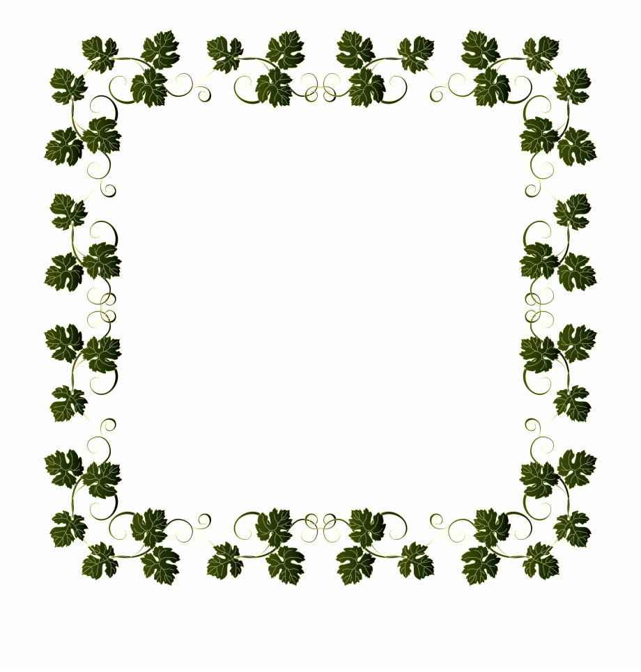 Vine Border Png , Png Download Free PNG Images & Clipart Download.