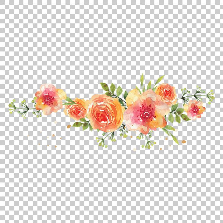 Watercolor Flowers Png Image Free Download searchpng.com.