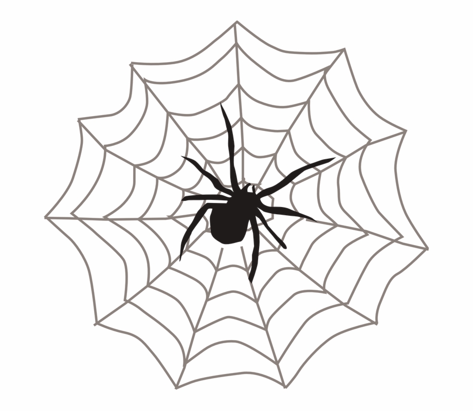 Teia Spider Man Png.