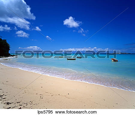 Stock Image of TROPICAL BEACH SEA AND FISHING BOATS GUADELOUPE.