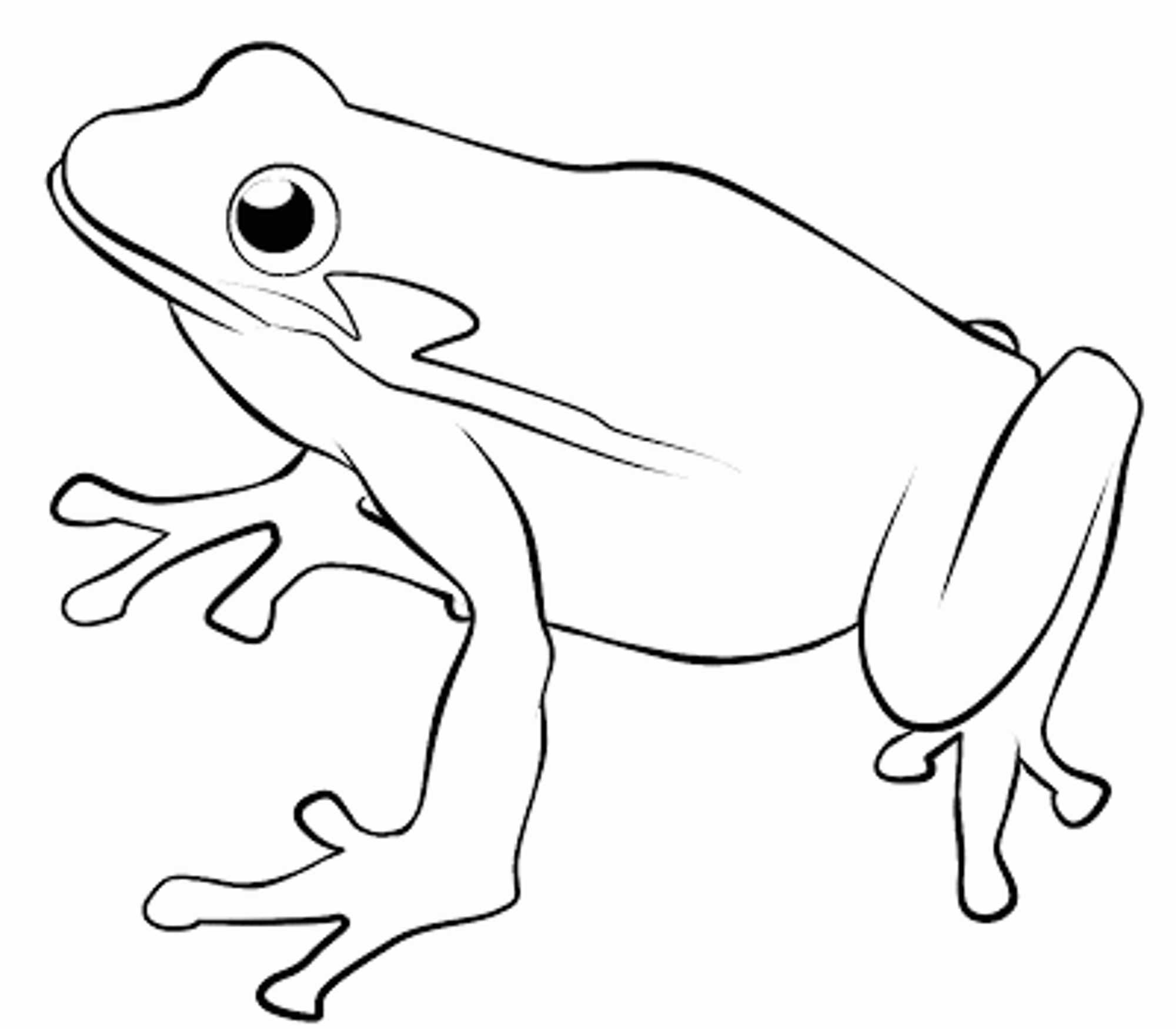 Line Drawing Of Frogs at GetDrawings.com.