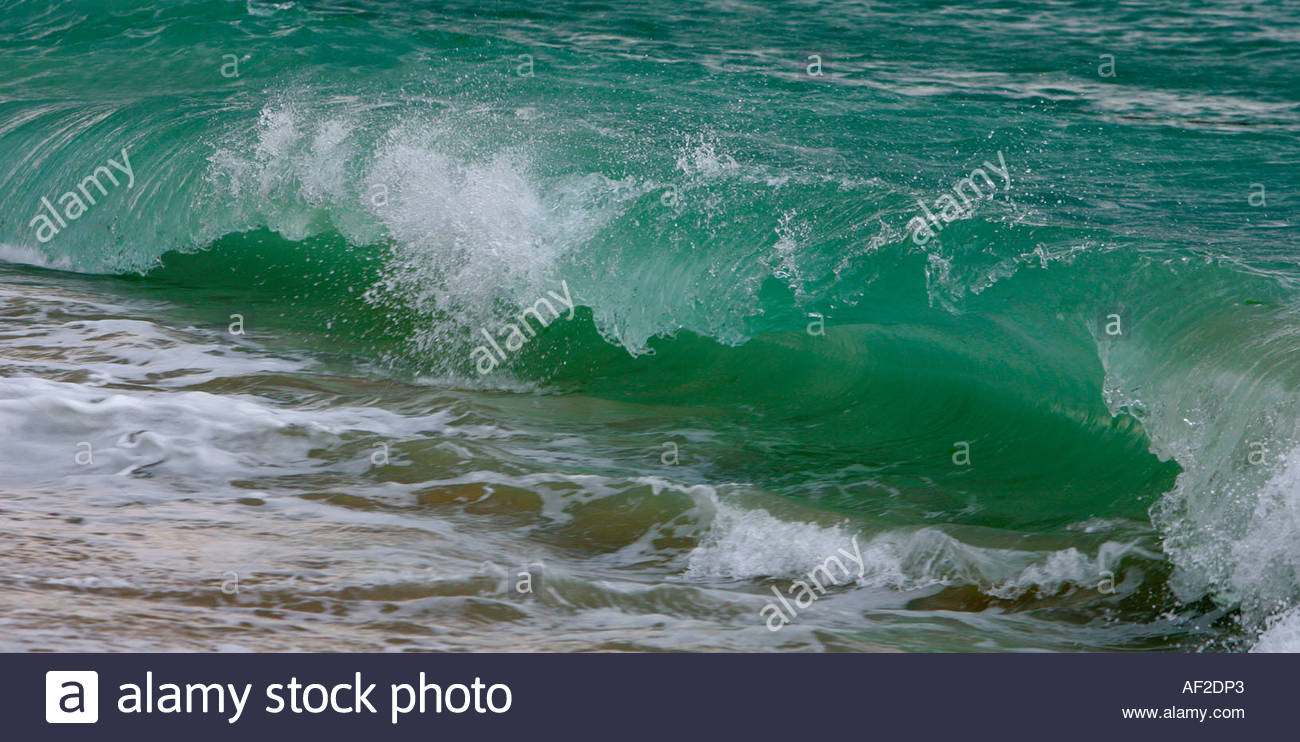 Sea Wave Water Storm Dynamic Sea Froth Greenish Blue Water Beach.