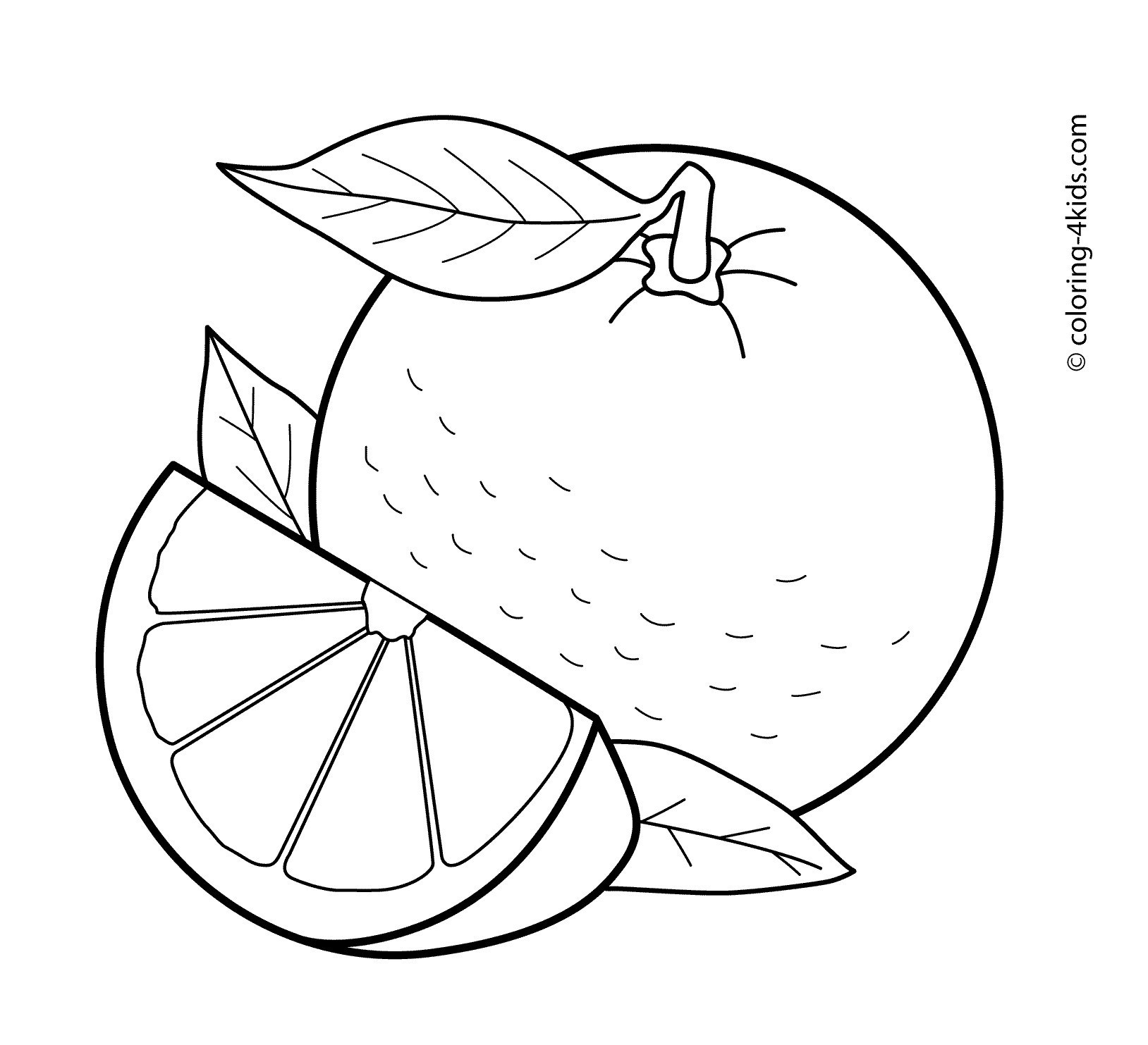 Orange fruit clipart black and white 1 » Clipart Station.