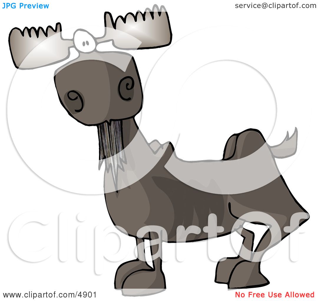 Full Grown Bull Moose with Antlers Clipart by Dennis Cox #4901.