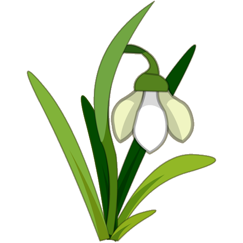 Snowdrop Flower Tattoo.