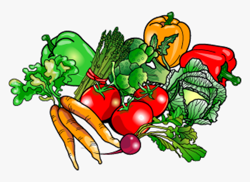 Clipart Vegetable Garden.