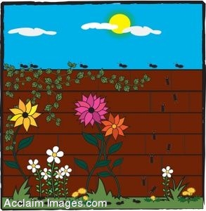 Clip Art of a Ants Crawling on a Brick Garden Wall.