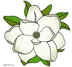 Gardenia drawings clip art.