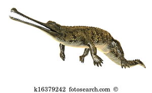 Gharial Illustrations and Stock Art. 48 gharial illustration.