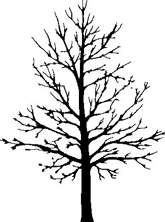 17 Best ideas about Tree Clipart on Pinterest.