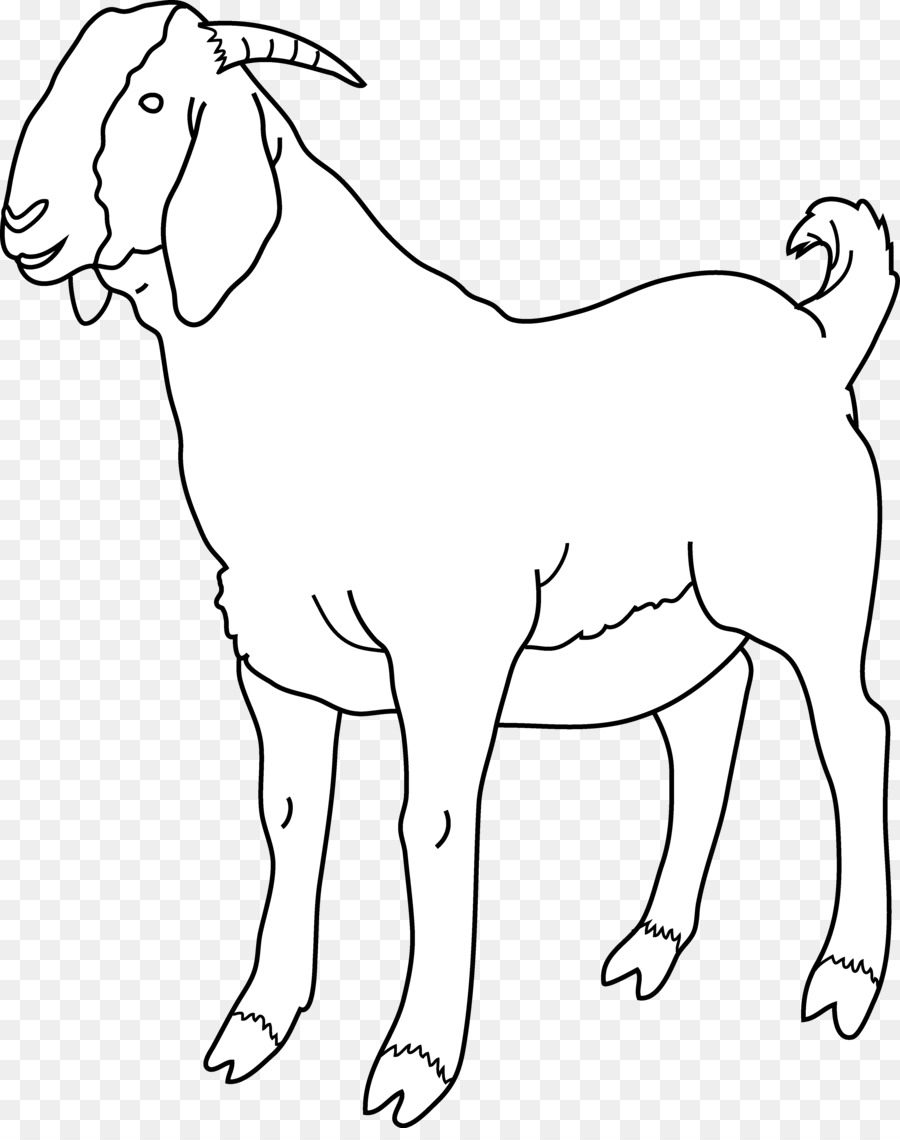 Sheep Cartoon clipart.