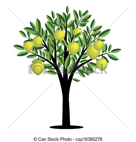 Lemon tree Illustrations and Clipart. 967 Lemon tree royalty free.