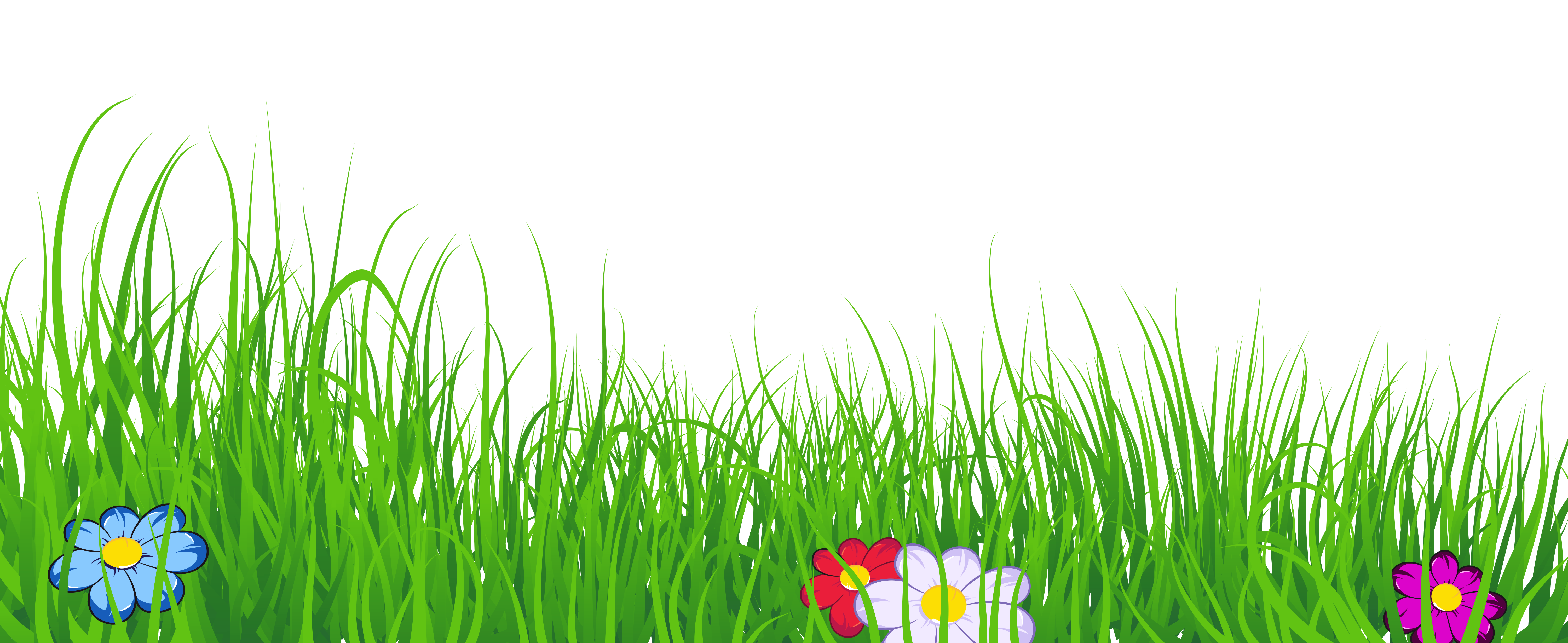 Grass Transparent Clipart.