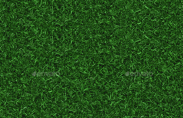 Grass Png Texture (102+ images in Collection) Page 3.