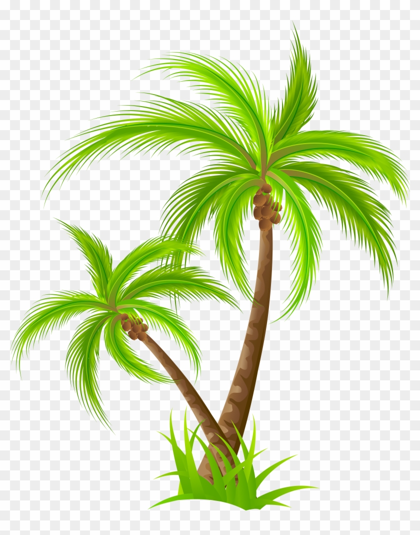 Palm Png Clip Art.