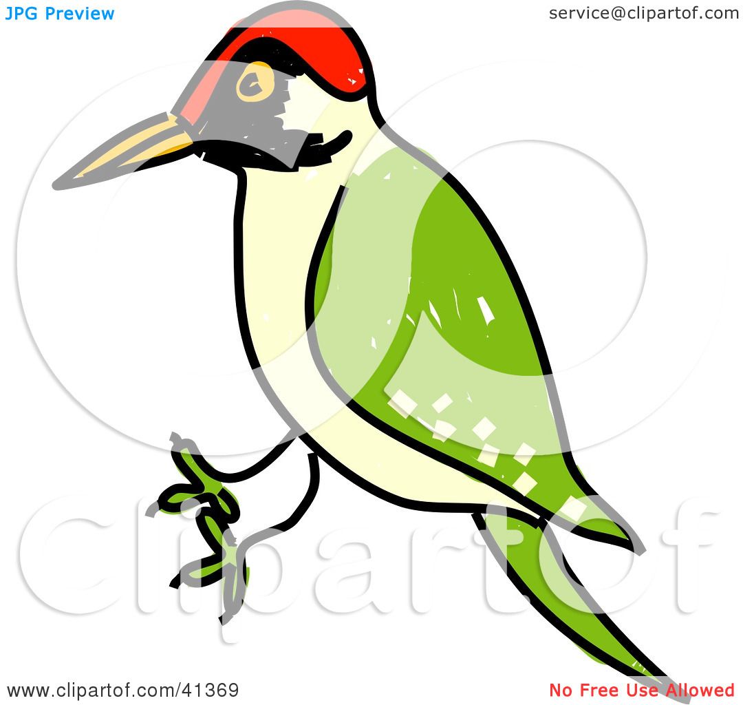 Clipart Illustration of a Green Woodpecker (Picus Viridis) With A.