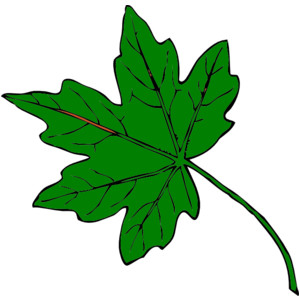 Greens clipart.